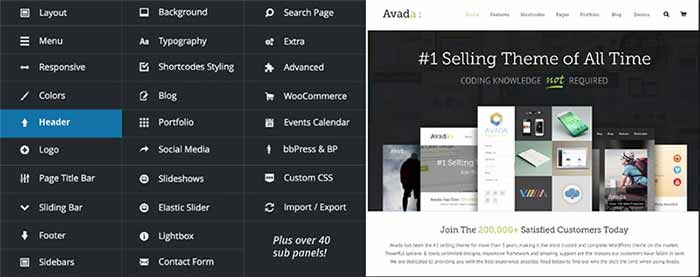 Wordpress Avada Themes