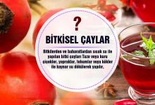 Sindirim ve Bağışıklık Arttırmak İçin Evde Yapılabilecek Bitkisel Çaylar
