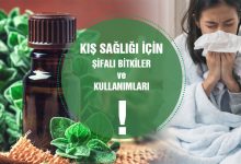 Kış Sağlığı İçin şifalı Bitkiler Grip Soğuk Algınlığı...